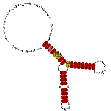 secondary structure