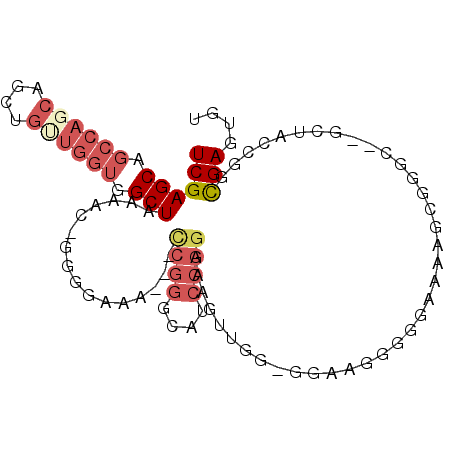 secondary structure