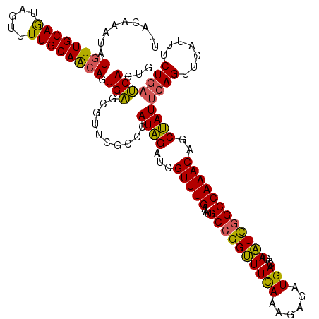 secondary structure