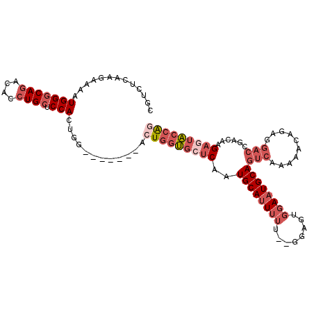 secondary structure