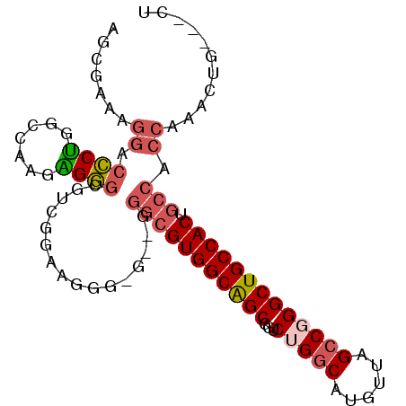 secondary structure