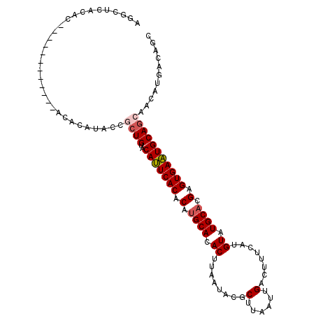 secondary structure