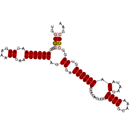 secondary structure
