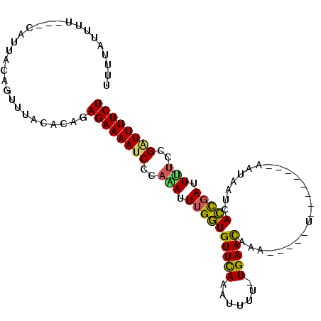 secondary structure