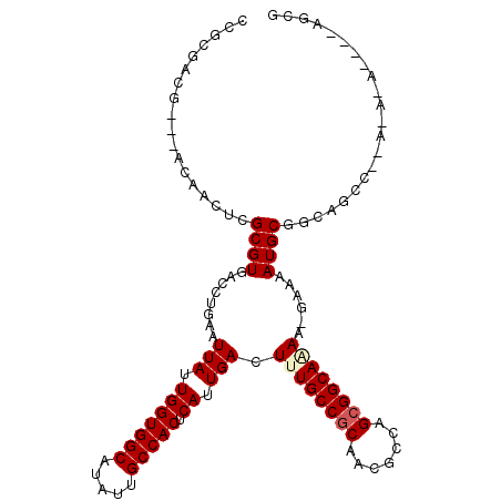 secondary structure