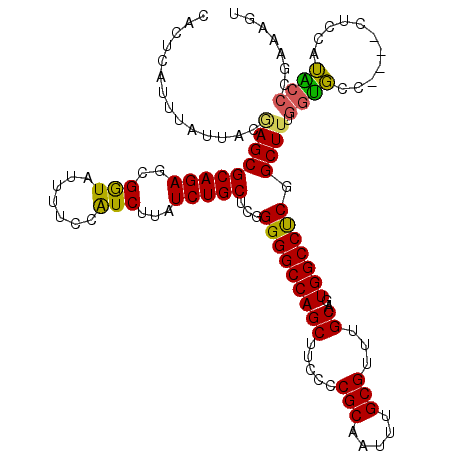 secondary structure