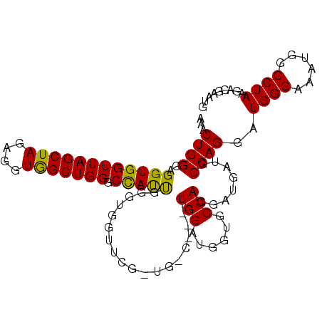 secondary structure