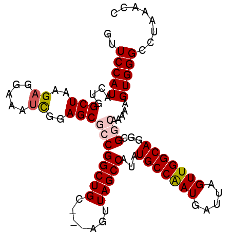 secondary structure