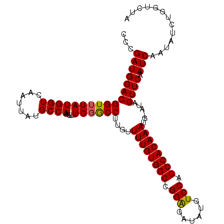 secondary structure