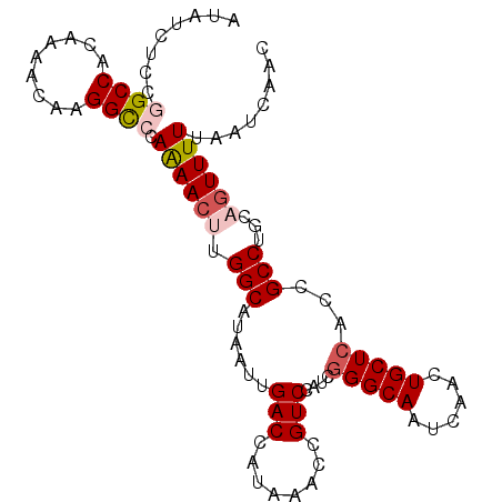 secondary structure