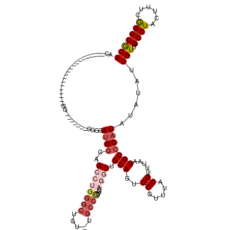 secondary structure