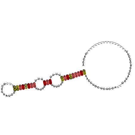 secondary structure