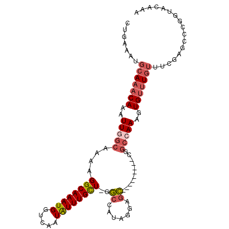 secondary structure
