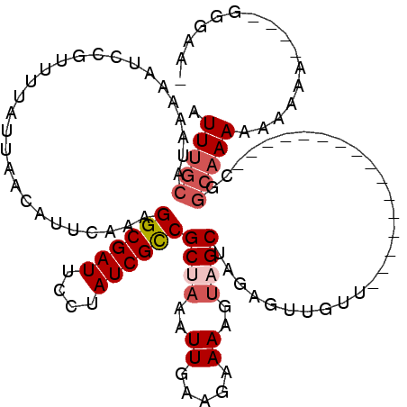 secondary structure