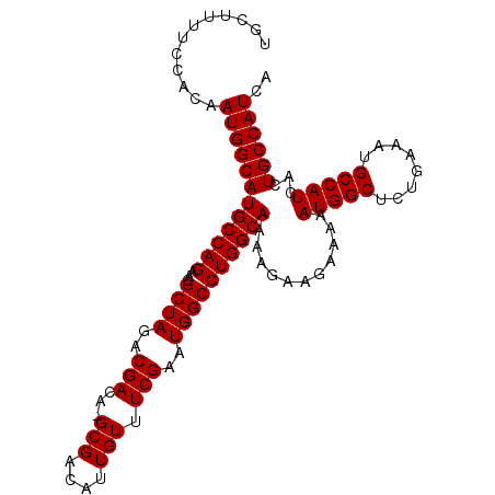secondary structure