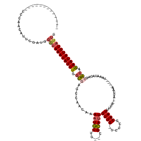 secondary structure