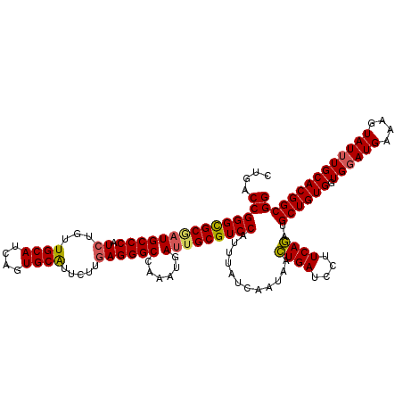 secondary structure