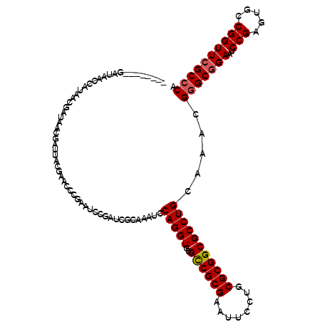 secondary structure