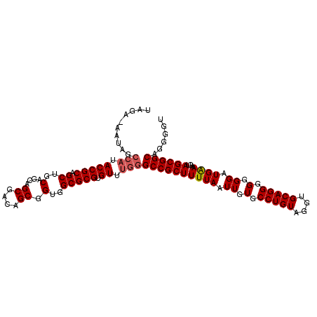 secondary structure