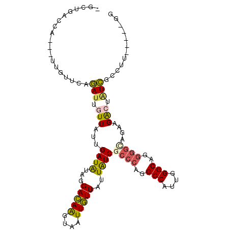 secondary structure