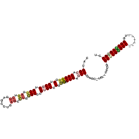 secondary structure