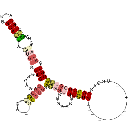 secondary structure