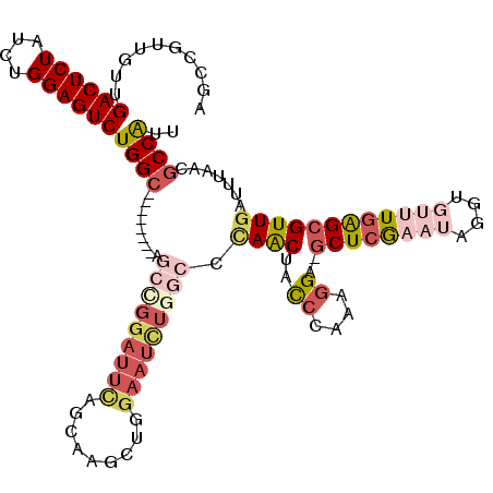 secondary structure