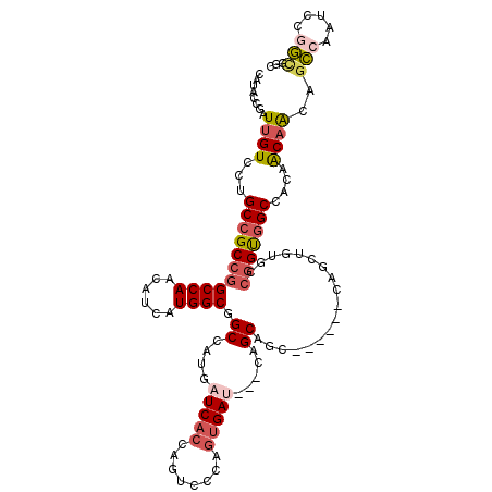 secondary structure