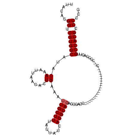 secondary structure
