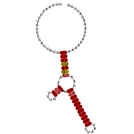 secondary structure