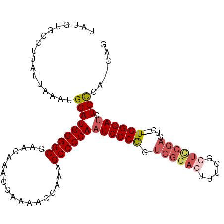 secondary structure