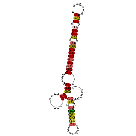 secondary structure