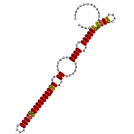 secondary structure