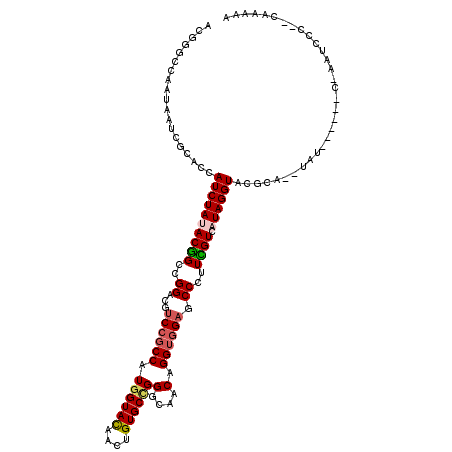 secondary structure