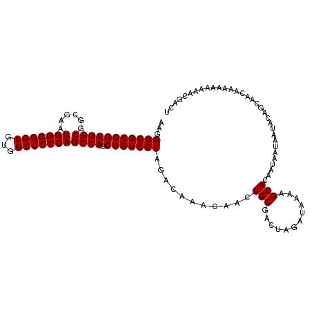 secondary structure