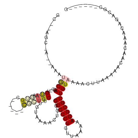 secondary structure