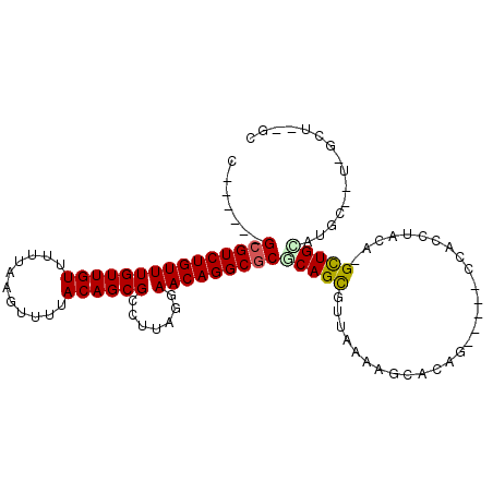 secondary structure