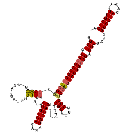 secondary structure