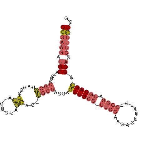 secondary structure