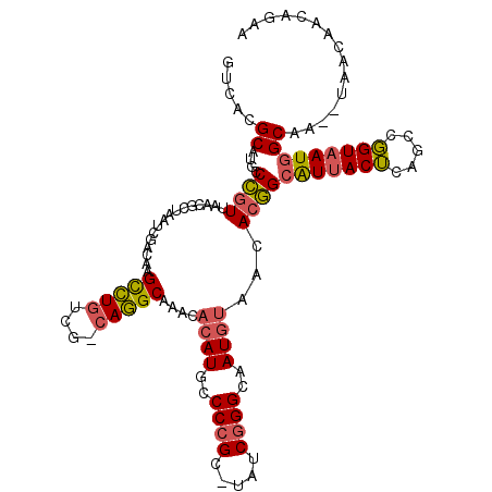 secondary structure
