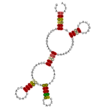 secondary structure