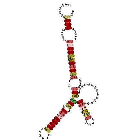 secondary structure