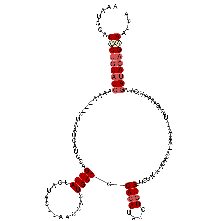 secondary structure