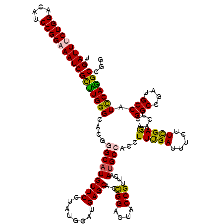 secondary structure