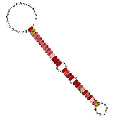 secondary structure