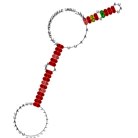 secondary structure
