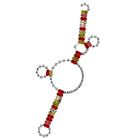 secondary structure