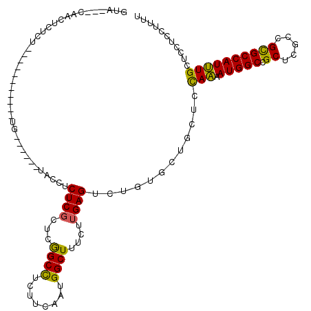 secondary structure