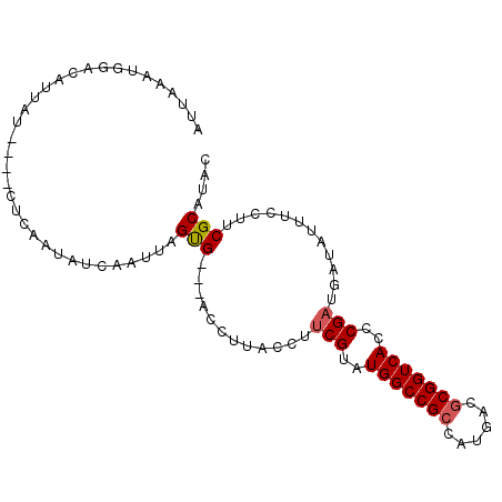 secondary structure