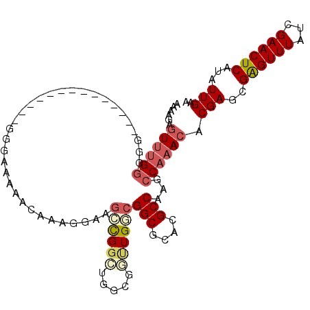 secondary structure